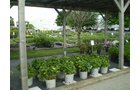 Property photo 23 - 14 Acres+/- Real Estate & Complete Inventory Liquidation, 2 Dates, October 23 & 26